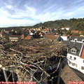 15_40-nest.jpg