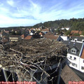 15_45-nest.jpg