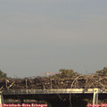 15_55-mast.jpg