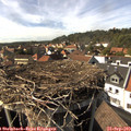 15_55-nest.jpg