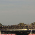 16_00-mast.jpg