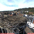 16_00-nest.jpg
