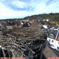 16_05-nest.jpg