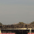 16_10-mast.jpg