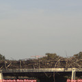 16_15-mast.jpg