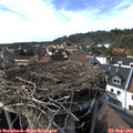 16_25-nest.jpg