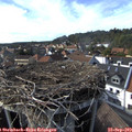 16_30-nest.jpg