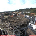 16_35-nest.jpg
