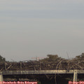 16_55-mast.jpg