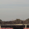 17_00-mast.jpg
