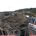 17_05-nest.jpg