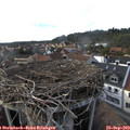 17_10-nest.jpg