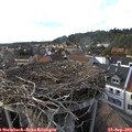 17_15-nest.jpg