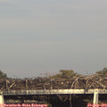 17_25-mast.jpg