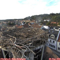 17_45-nest.jpg