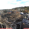 18_10-nest.jpg