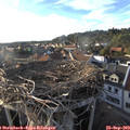18_15-nest.jpg