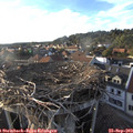 18_20-nest.jpg