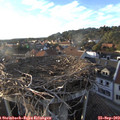 18_25-nest.jpg