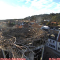 18_30-nest.jpg