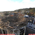 18_35-nest.jpg