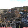 18_40-nest.jpg