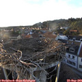 18_45-nest.jpg