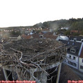 18_55-nest.jpg