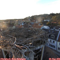 19_00-nest.jpg