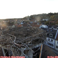 19_05-nest.jpg