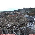 07_25-nest.jpg