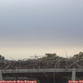07_30-mast.jpg