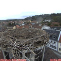 07_30-nest.jpg