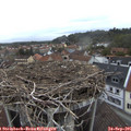 07_35-nest.jpg