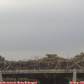 07_40-mast.jpg