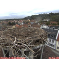 07_40-nest.jpg