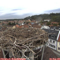 07_45-nest.jpg