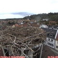 07_55-nest.jpg