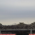 08_00-mast.jpg