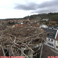 08_00-nest.jpg