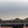 08_05-mast.jpg