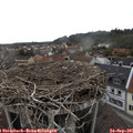 08_05-nest.jpg