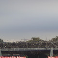 08_10-mast.jpg