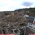 08_10-nest.jpg
