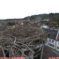 08_15-nest.jpg