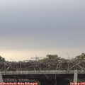 08_20-mast.jpg