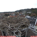 08_20-nest.jpg