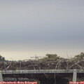 08_25-mast.jpg