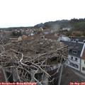 08_25-nest.jpg