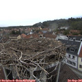08_30-nest.jpg